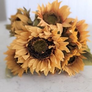 Meet your Posher, Cynthia